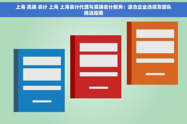 上海 高端 会计 上海 上海会计代理与高端会计服务：适合企业选择及团队挑选指南