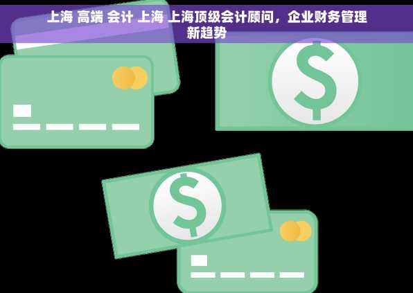 上海 高端 会计 上海 上海顶级会计顾问，企业财务管理新趋势