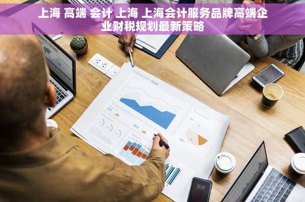 上海 高端 会计 上海 上海会计服务品牌高端企业财税规划最新策略