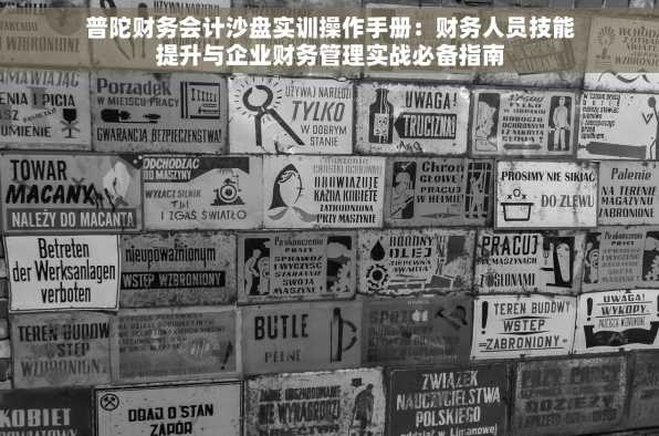 普陀财务会计沙盘实训操作手册：财务人员技能提升与企业财务管理实战必备指南