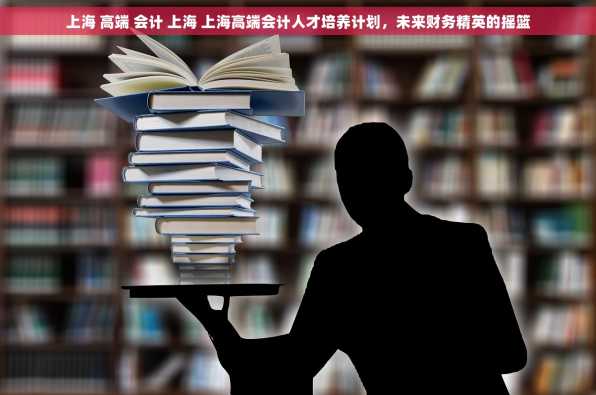 上海 高端 会计 上海 上海高端会计人才培养计划，未来财务精英的摇篮