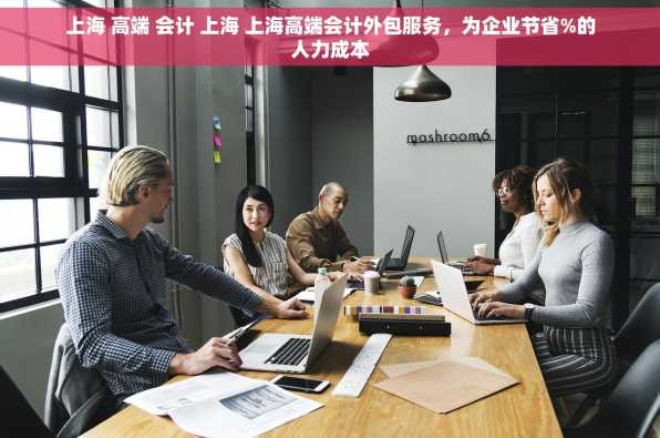 上海 高端 会计 上海 上海高端会计外包服务，为企业节省%的人力成本