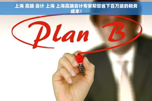 上海 高端 会计 上海 上海高端会计专家帮您省下百万级的税务成本！