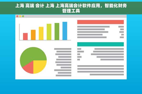 上海 高端 会计 上海 上海高端会计软件应用，智能化财务管理工具