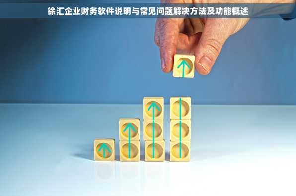 徐汇企业财务软件说明与常见问题解决方法及功能概述
