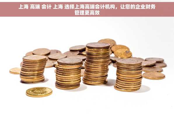 上海 高端 会计 上海 选择上海高端会计机构，让您的企业财务管理更高效