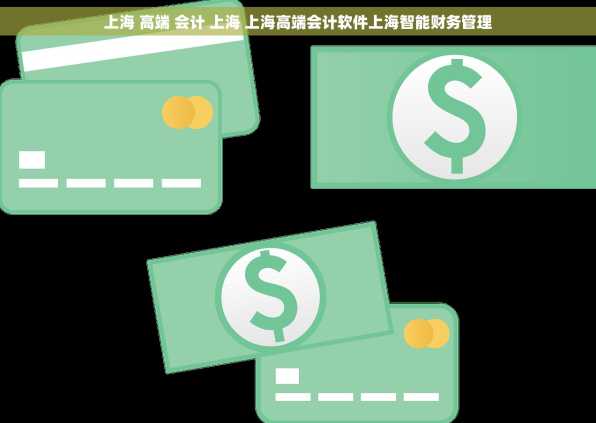 上海 高端 会计 上海 上海高端会计软件上海智能财务管理
