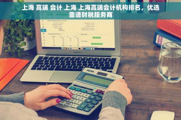 上海 高端 会计 上海 上海高端会计机构排名，优选靠谱财税服务商