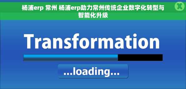 杨浦erp 常州 杨浦erp助力常州传统企业数字化转型与智能化升级