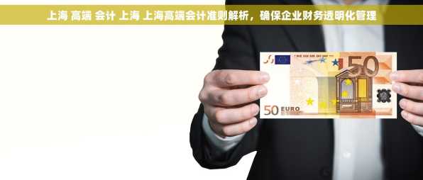 上海 高端 会计 上海 上海高端会计准则解析，确保企业财务透明化管理