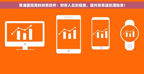 黄浦医院用的财务软件：财务人员的福音，提升效率速处理账务！