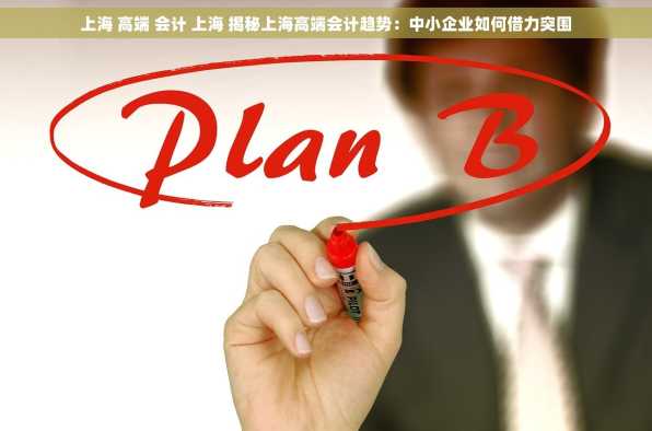 上海 高端 会计 上海 揭秘上海高端会计趋势：中小企业如何借力突围