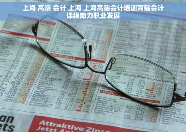 上海 高端 会计 上海 上海高端会计培训高端会计课程助力职业发展