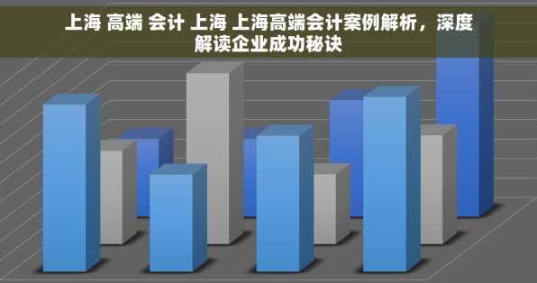上海 高端 会计 上海 上海高端会计案例解析，深度解读企业成功秘诀