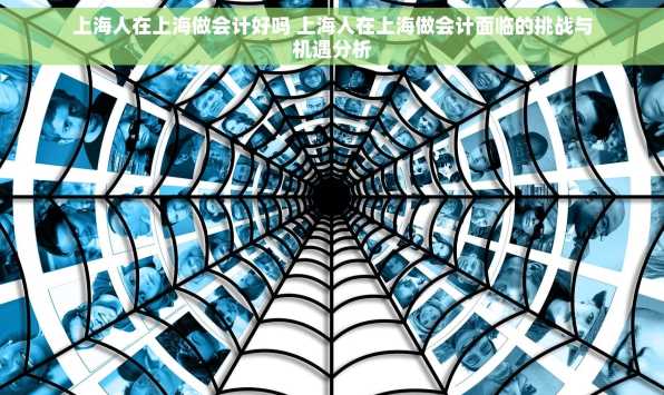 上海人在上海做会计好吗 上海人在上海做会计面临的挑战与机遇分析