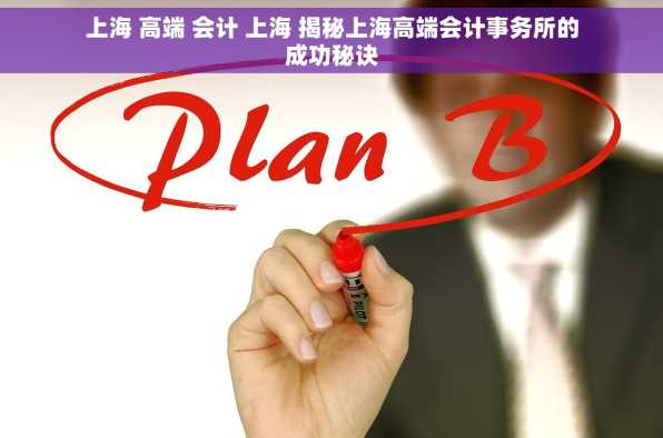 上海 高端 会计 上海 揭秘上海高端会计事务所的成功秘诀