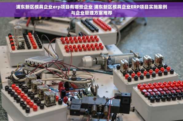浦东新区模具企业erp项目有哪些企业 浦东新区模具企业ERP项目实施案例与企业管理方案推荐