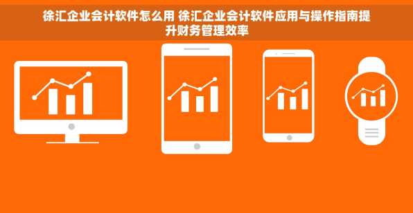 徐汇企业会计软件怎么用 徐汇企业会计软件应用与操作指南提升财务管理效率