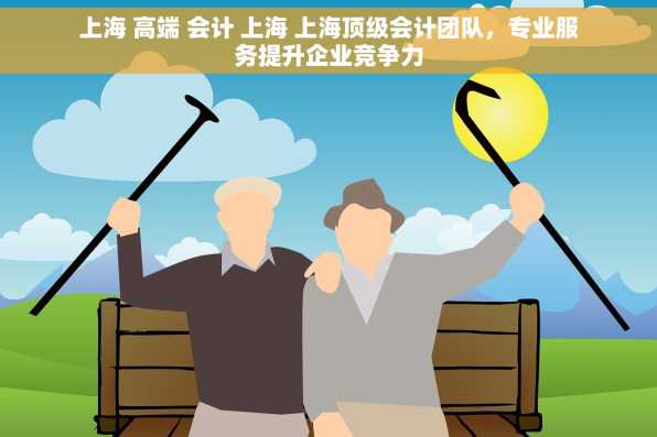 上海 高端 会计 上海 上海顶级会计团队，专业服务提升企业竞争力