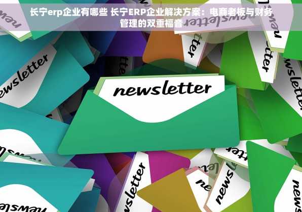 长宁erp企业有哪些 长宁ERP企业解决方案：电商老板与财务管理的双重福音