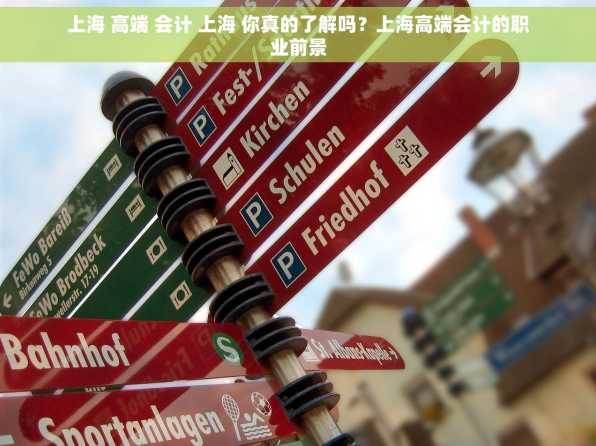 上海 高端 会计 上海 你真的了解吗？上海高端会计的职业前景