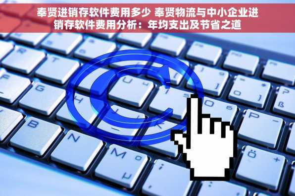 奉贤进销存软件费用多少 奉贤物流与中小企业进销存软件费用分析：年均支出及节省之道