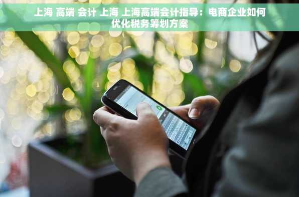 上海 高端 会计 上海 上海高端会计指导：电商企业如何优化税务筹划方案