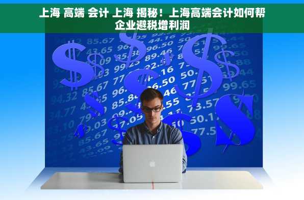 上海 高端 会计 上海 揭秘！上海高端会计如何帮企业避税增利润
