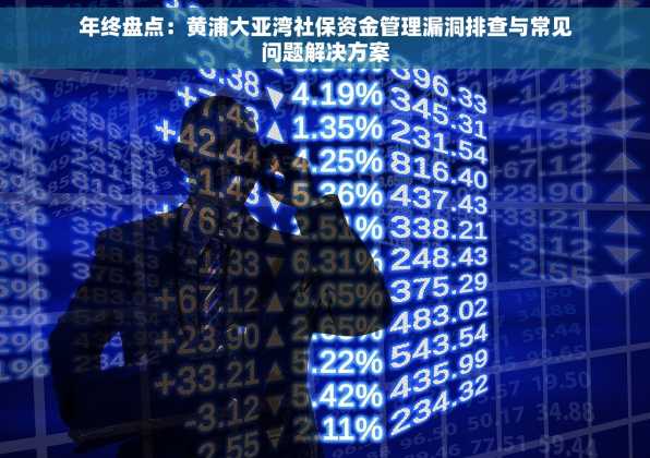 年终盘点：黄浦大亚湾社保资金管理漏洞排查与常见问题解决方案