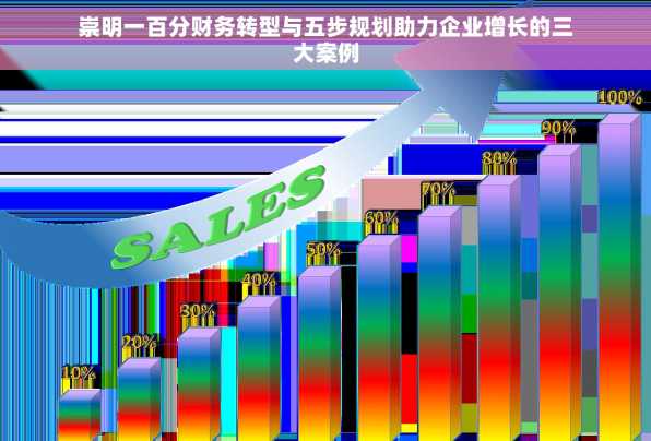 崇明一百分财务转型与五步规划助力企业增长的三大案例