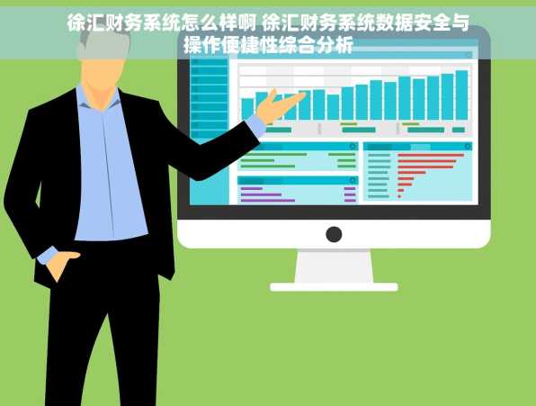 徐汇财务系统怎么样啊 徐汇财务系统数据安全与操作便捷性综合分析