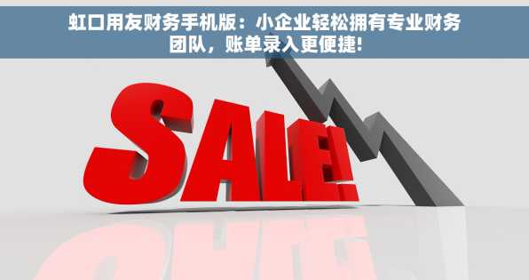 虹口用友财务手机版：小企业轻松拥有专业财务团队，账单录入更便捷!