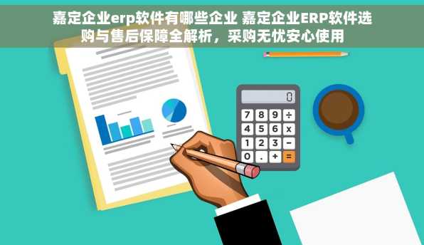 嘉定企业erp软件有哪些企业 嘉定企业ERP软件选购与售后保障全解析，采购无忧安心使用