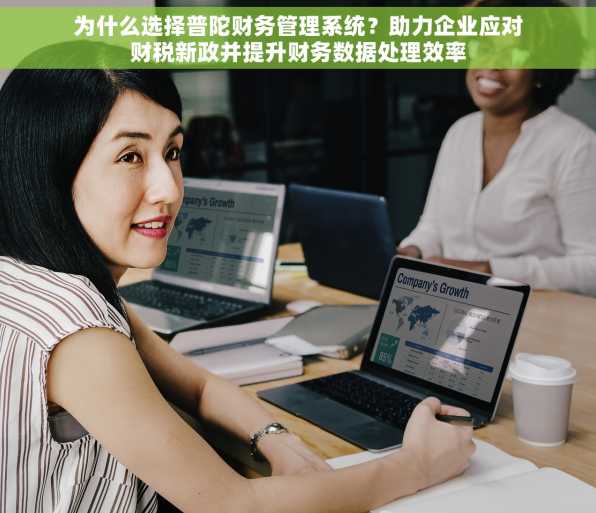 为什么选择普陀财务管理系统？助力企业应对财税新政并提升财务数据处理效率