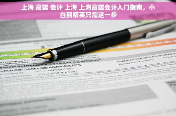 上海 高端 会计 上海 上海高端会计入门指南，小白到精英只需这一步