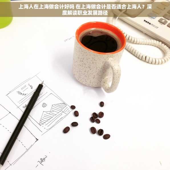 上海人在上海做会计好吗 在上海做会计是否适合上海人？深度解读职业发展路径