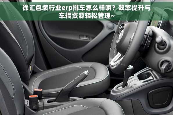 徐汇包装行业erp排车怎么样啊？效率提升与车辆资源轻松管理~