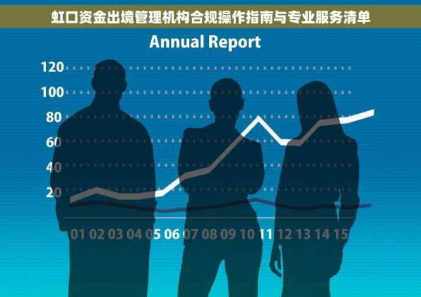 虹口资金出境管理机构合规操作指南与专业服务清单
