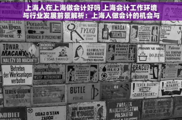 上海人在上海做会计好吗 上海会计工作环境与行业发展前景解析：上海人做会计的机会与舒适度