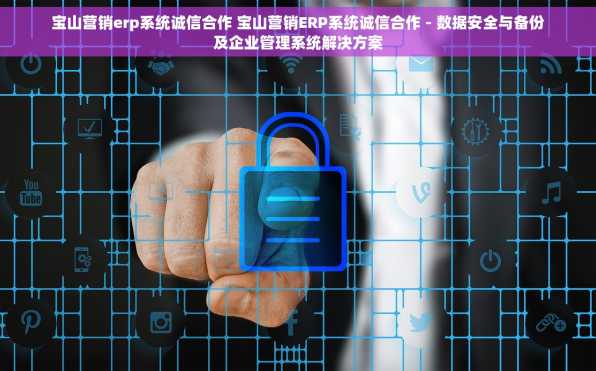 宝山营销erp系统诚信合作 宝山营销ERP系统诚信合作 - 数据安全与备份及企业管理系统解决方案