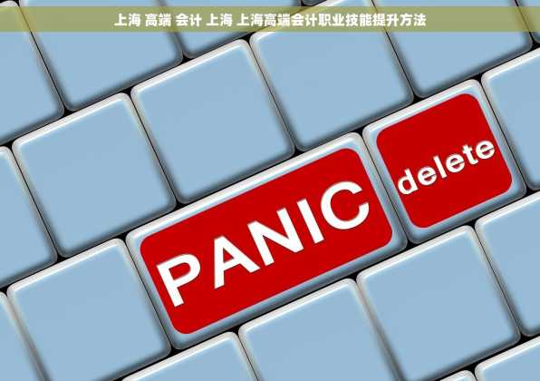 上海 高端 会计 上海 上海高端会计职业技能提升方法