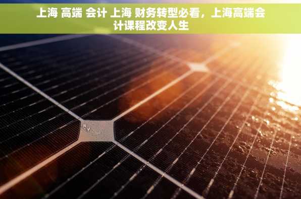上海 高端 会计 上海 财务转型必看，上海高端会计课程改变人生
