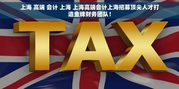 上海 高端 会计 上海 上海高端会计上海招募顶尖人才打造金牌财务团队！