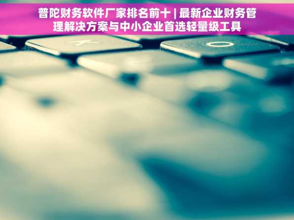 普陀财务软件厂家排名前十 | 最新企业财务管理解决方案与中小企业首选轻量级工具