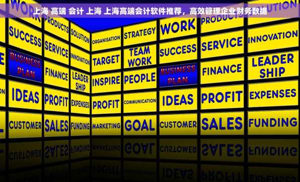 上海 高端 会计 上海 上海高端会计软件推荐，高效管理企业财务数据