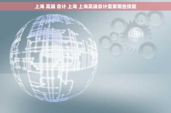 上海 高端 会计 上海 上海高端会计需要哪些技能