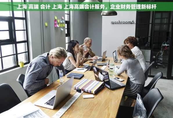 上海 高端 会计 上海 上海高端会计服务，企业财务管理新标杆