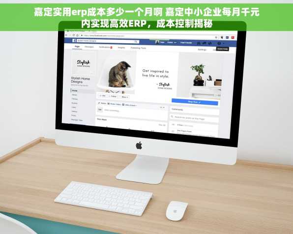 嘉定实用erp成本多少一个月啊 嘉定中小企业每月千元内实现高效ERP，成本控制揭秘