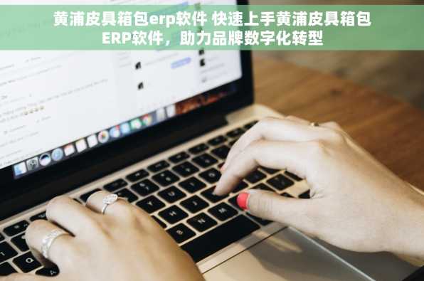黄浦皮具箱包erp软件 快速上手黄浦皮具箱包ERP软件，助力品牌数字化转型