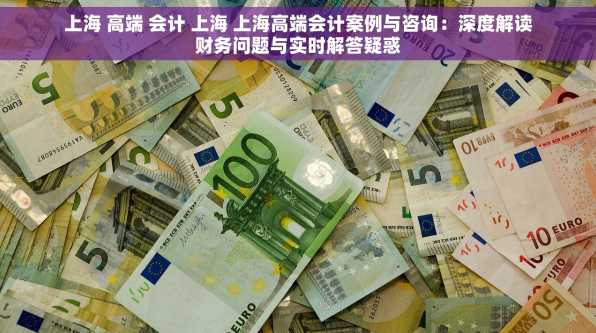 上海 高端 会计 上海 上海高端会计案例与咨询：深度解读财务问题与实时解答疑惑